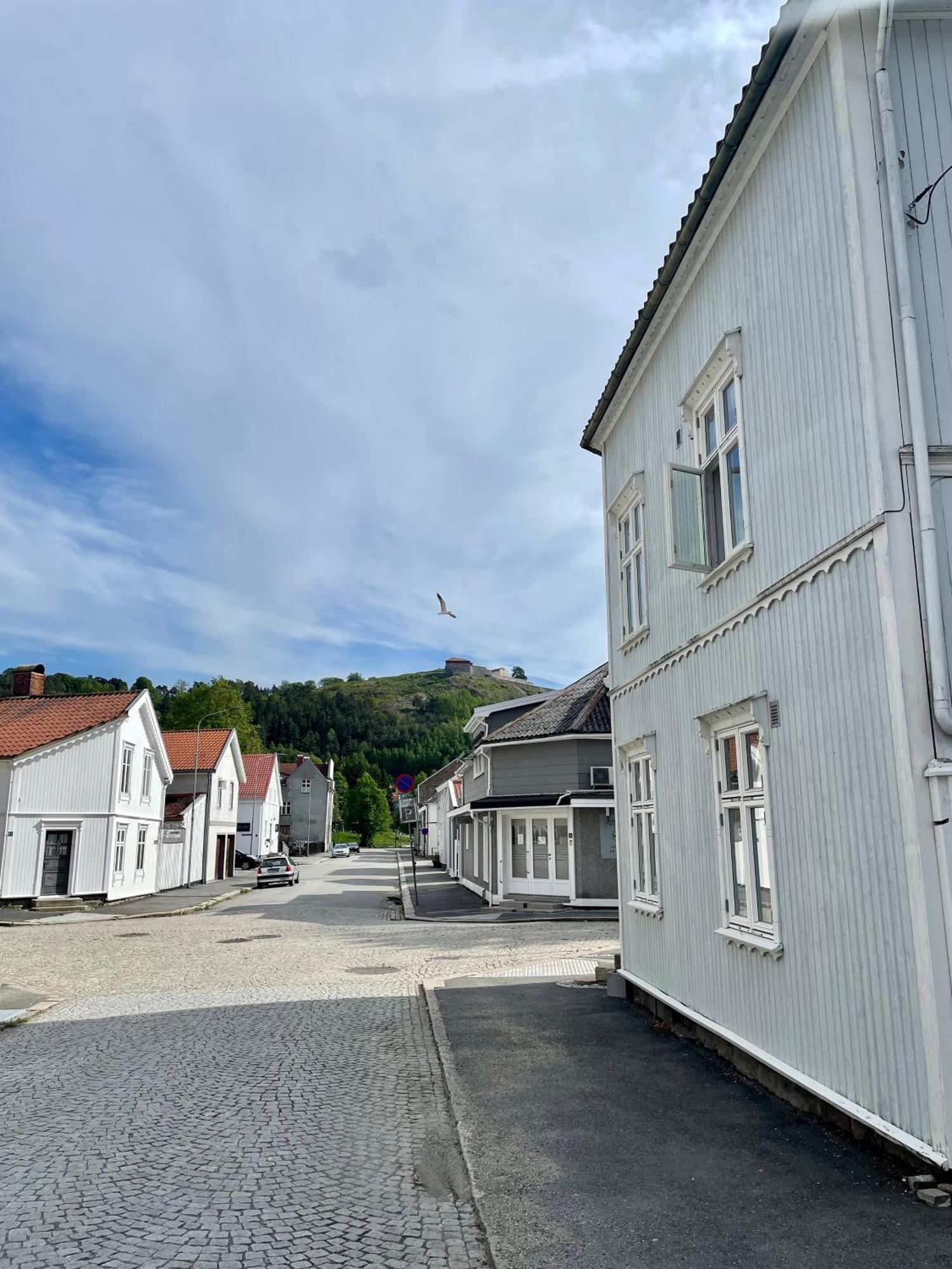 Sentral Og Fargerik Bygardsleilighet Halden Eksteriør billede